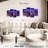 Sireci Soweto Night Lights-108866899