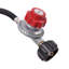 Barbecue portatif au propane liquide à 2 brûleurs 15 000 BTU Topbuy