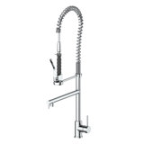 VanGogh Pull Down Single Handle Kitchen Faucet with Side Spray and Accessories