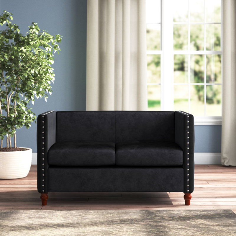 Shawn 49'' Velvet Loveseat, Black Velvet