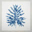 Selloum Azul Print by Jenny Kiker