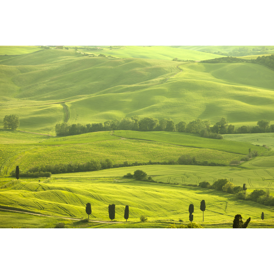 Rollende Landschaft, Toskana von Bim - Kunstdrucke auf Leinwand