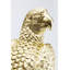 Deco Box Parrot