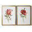 Pivoine écarlate - ensemble de 2 reproductions d'art-503444583-503444582-503444509