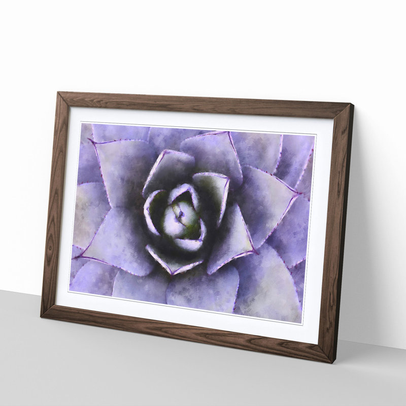 Lilac Succulent Plant - Picture Frame Graphic Art Print, Walnut Framed, 62cm H x 87cm W x 2cm D