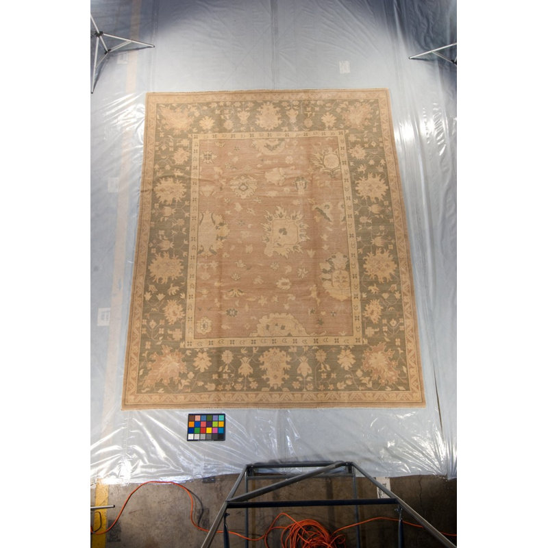 Afshan Wool Oriental Area Rug in Greens/Taupes, Rectangle 8' x 10'