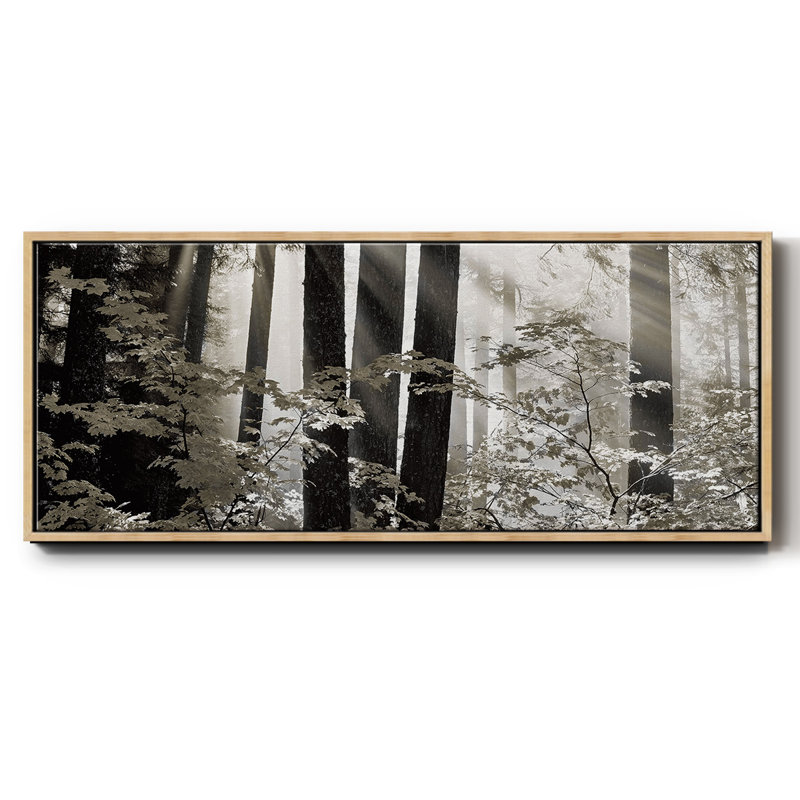 Misty Forest- Framed Canvas