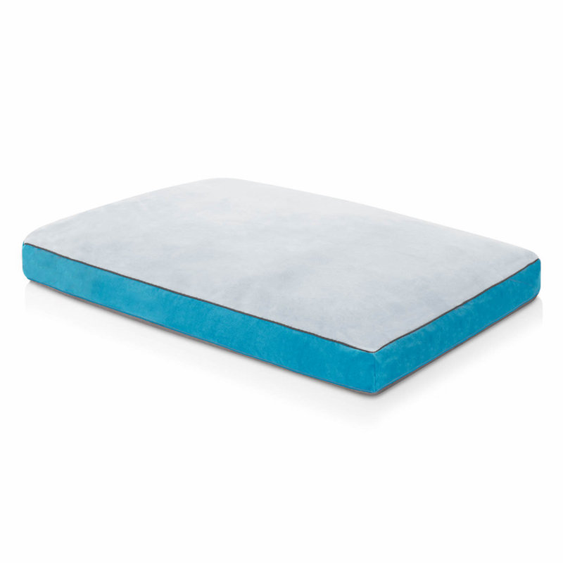 Matelas déchiqueté pour animaux de compagnie Costello, Bleu sarcelle, Petit (l 22 po x P 16 po x H 3 po)