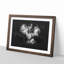 Cocker Spaniel - Framed Print-56916794-56916798