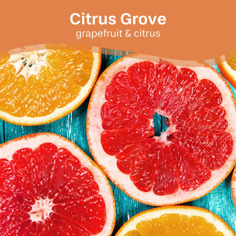 Maxim Cleaning Solution, Citrus Grove (1l)
