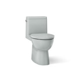 Reach™ 1.28 GPF Water Efficient Elongated Toilet