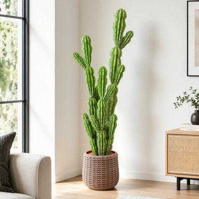 5.5FT Fuzzy 6:8 & 2:8 Edge Artificial Cactus in Brown Woven Pot, Faux Cactus Plants Indoor Fake Succulents for Home Office Decor 