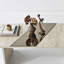 Table basse
