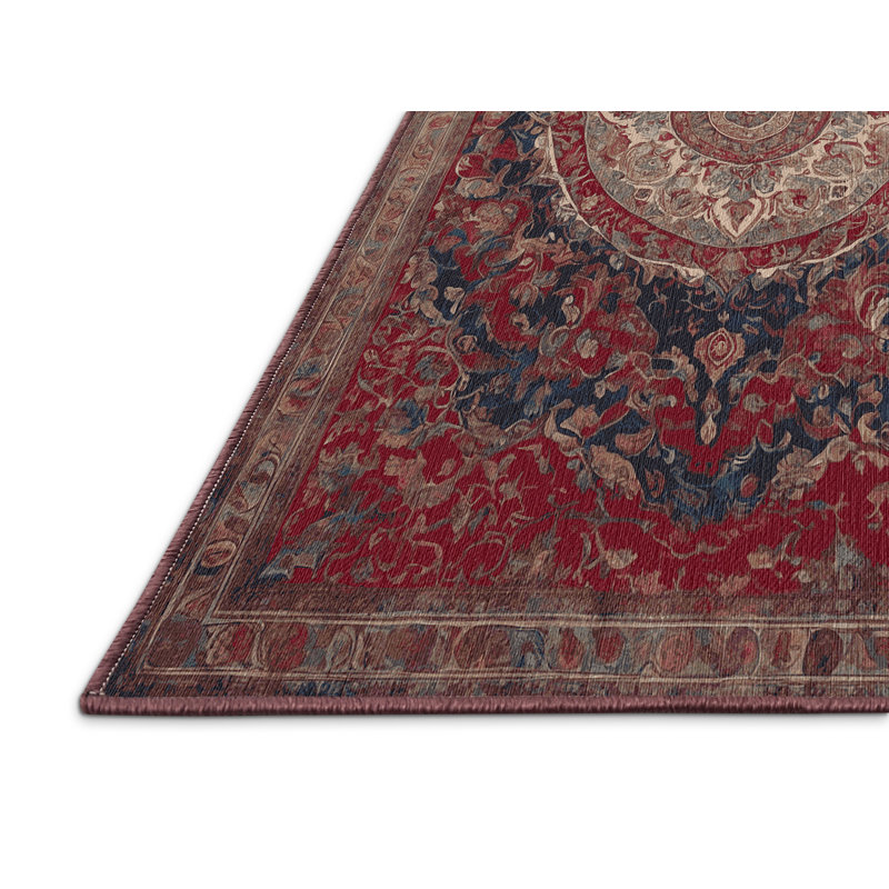 Machine Washable Brown Area Rug, Rectangle 5' x 7'