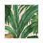Palm Leaf White Green Wallpaper