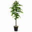Ficus artificiel 72 po dans un panier