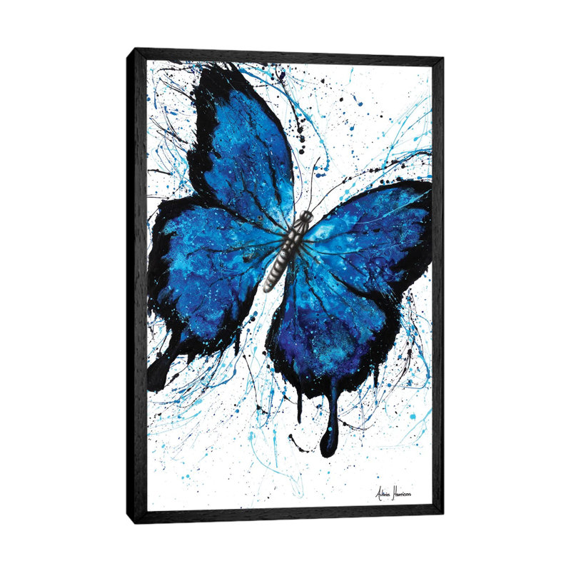 Beach Butterfly by Ashvin Harrison - Print on Canvas, 66.04 cm H x 45.72 cm W, Black Framed