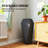 Kise Pot Planter-323524643-322665828