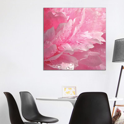 Peony With Raindrops - Wrapped Canvas Print