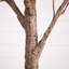 Arbre d'automne-1230477471