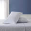 Ensemble de draps bleu Nautica-123755711-126639545