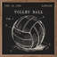 Volleyball Patent Black-1357134253