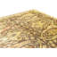 Hand Knotted Wool Area Rug in Brown And Ivory