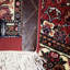 Oriental Area Rug in Red