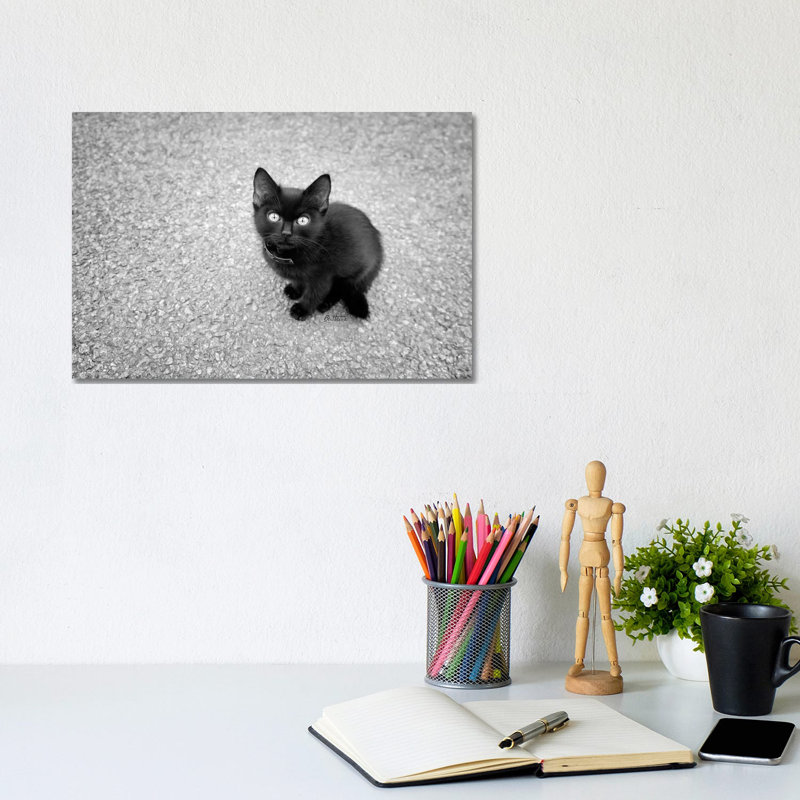 Just A Baby by Ben Heine - Print on Canvas, Wrapped Canvas, 20.32 cm H x 30.48 cm W