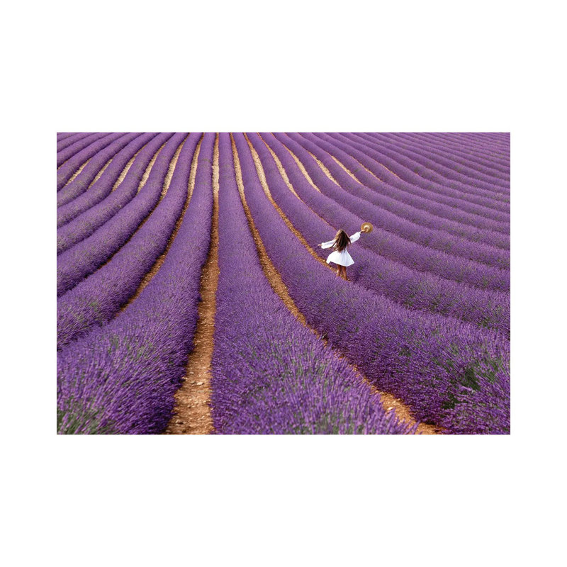Violet by Massimo Della Latta - Wrapped Canvas Print, 101.6 cm H x 66.04 cm W x 3.175 cm D