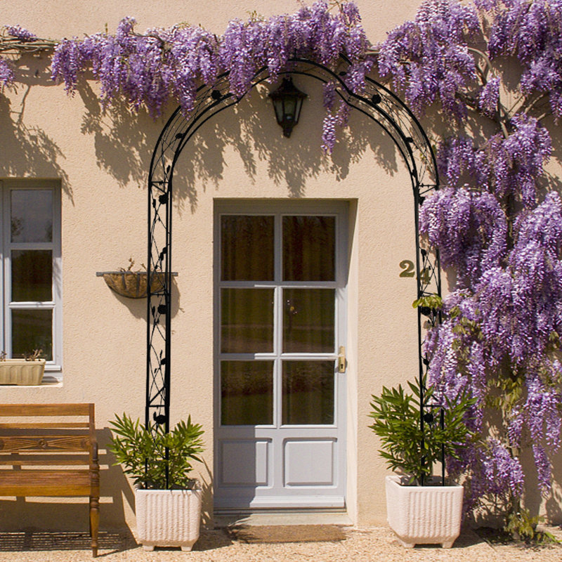 Arche de jardin treillis pour plantes - thermolaquée, 15,67 po Large, en métal noir,