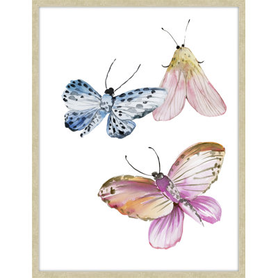 " Whimsical Moths 2 " Painting Print