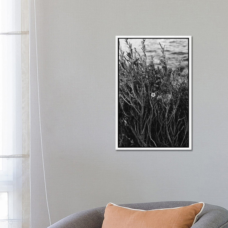 Tenaya Lake, Yosemite National Park II by Bethany Young - Print on Canvas, 66.04cm H x 45.72cm W x 3.81cm D, White Framed