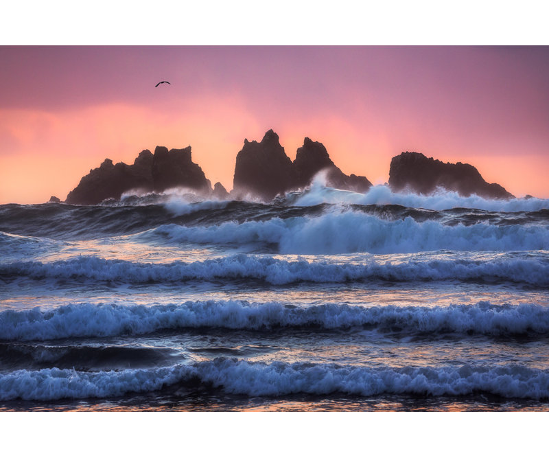 Wrapped Canvas Print, 50.8 cm H x 76.2 cm W