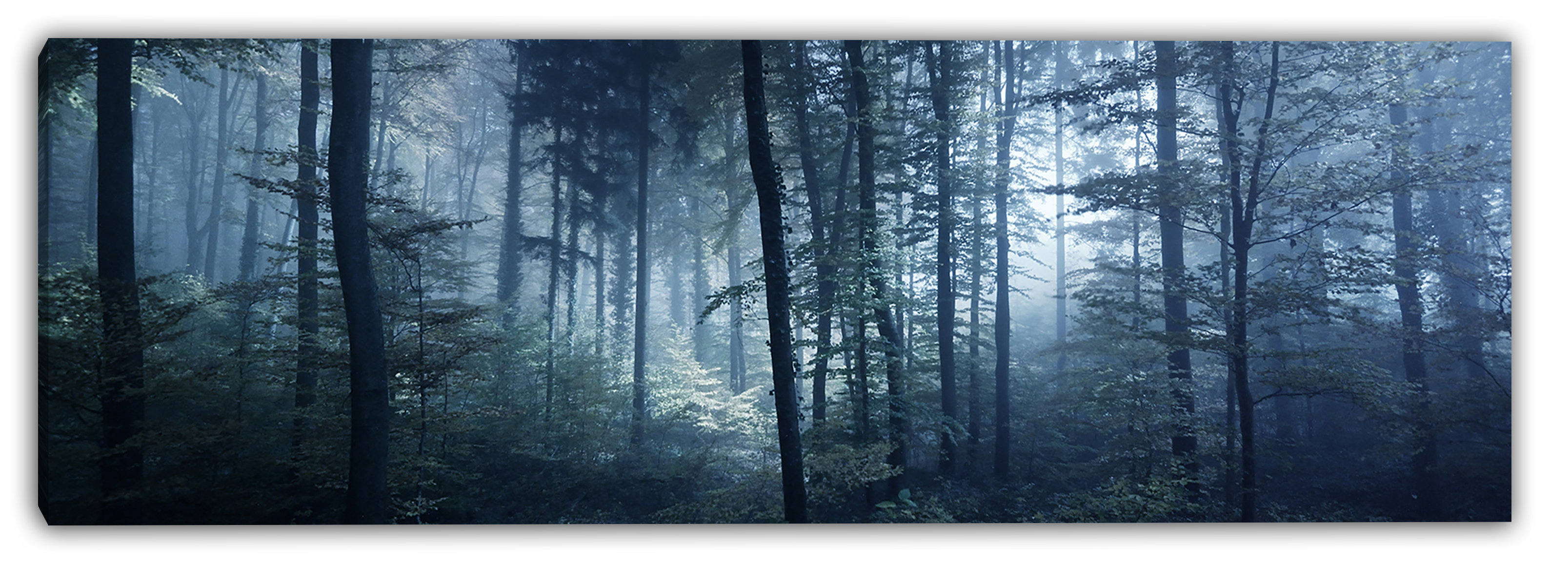 Millwood Pines Enchanted Misty Forest Canvas Art | Wayfair