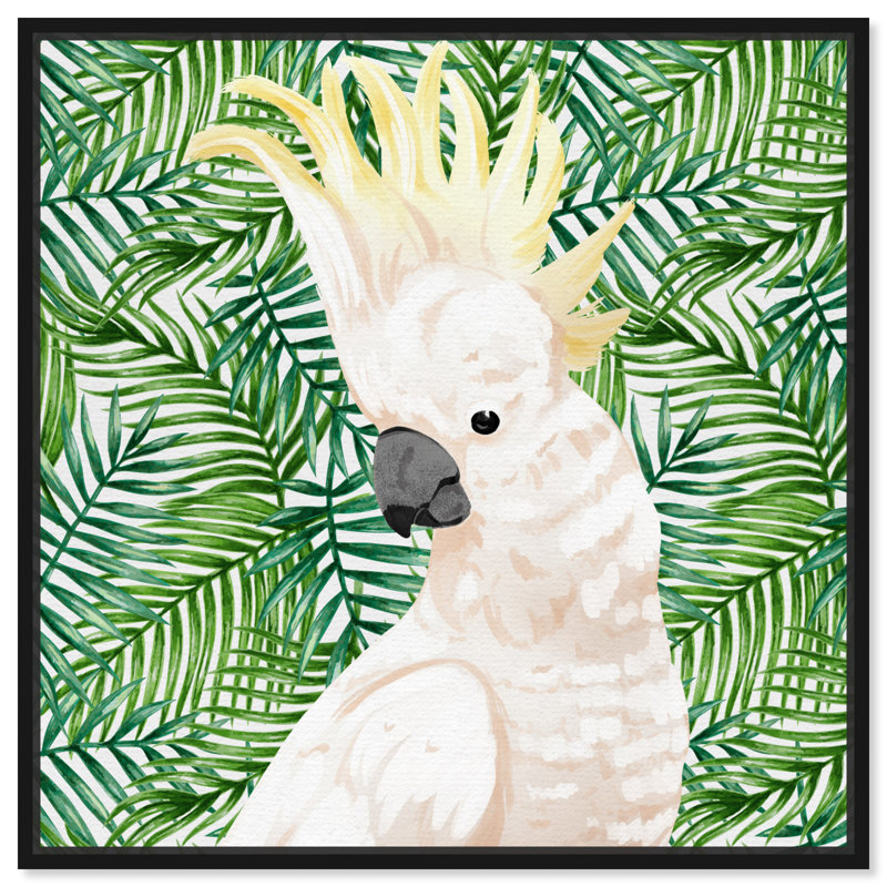 «Animals Cockatoo Profile Birds», reproduction d'art sur toile, Toile avec cadre noir, H 20 po x l 20 po x 1,5 po