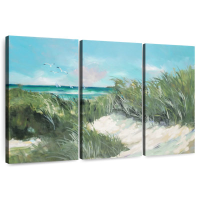 Gillard Beach Coast Grass