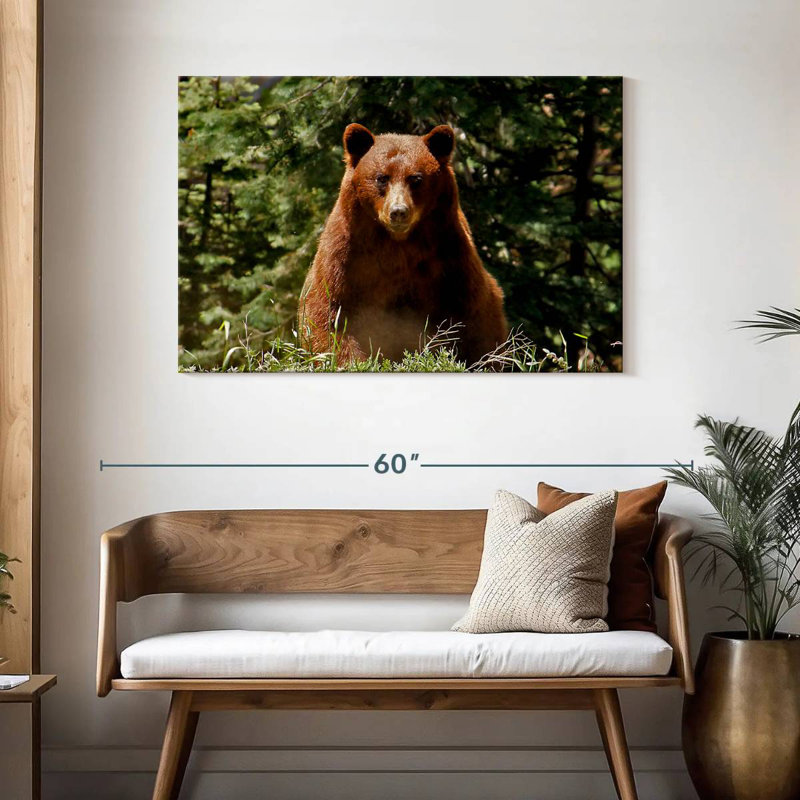 Yosemite Bear, 30" H x 45" W