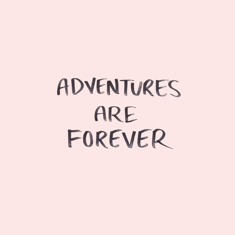 Adventures Are Forever On Blush - Wrapped Canvas Print, 122cm H x 122cm W x 3.8cm D