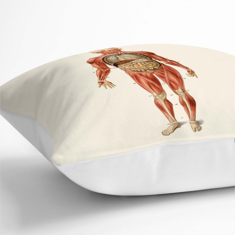 Square Cushion, White, 55cm H x 55cm W x 20cm D