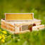 VEVOR Bee Hive Medium Box Starter Kit