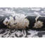 Wool Oriental Indoor Rug-81199604