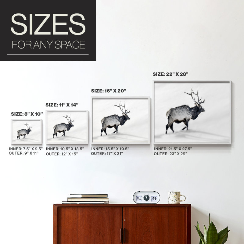Lone Bull -Framed Print - Restickable, H 11 po x l 14 po, Blanc
