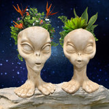 Ancient Alien 2 Piece Sister Zoe and Brother Roswell Muggly's Statue Set