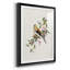Spring Spring Pine Grosbeak - peinture encadrée-123802680-123802684