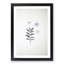 White Daffodil Dismantled - Framed Print-55612779-55612784