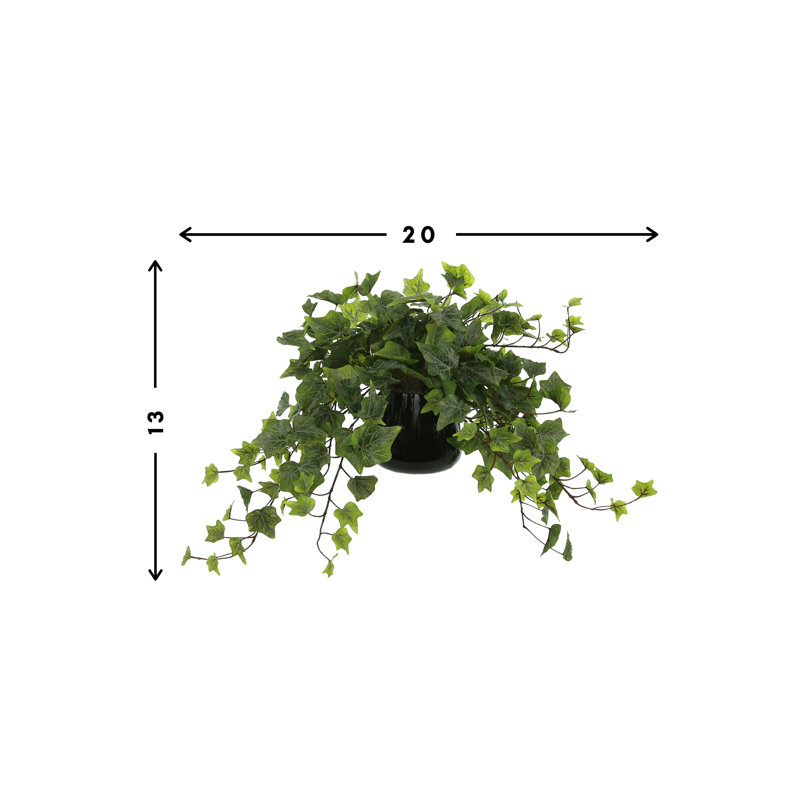 Jenner Faux Ivy Plant in Glass Vase, 13" H x 20" W x 20" D