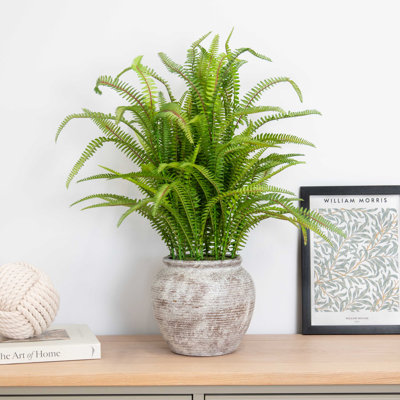 62cm Faux Fern Plant in Composite Planter