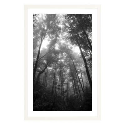 Landscape & Nature Print