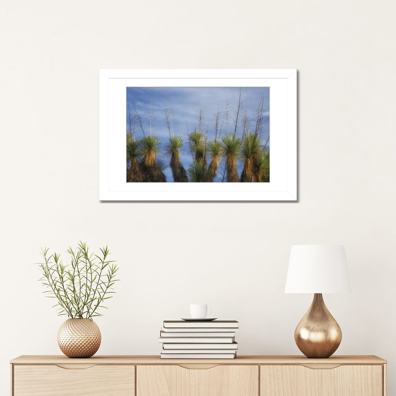 Cactus - reproduction d'art mural, 16 po x 24 po, Papier encadré, Blanc